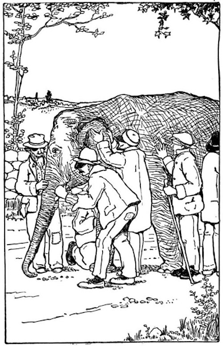 Blind Men & The Elephant